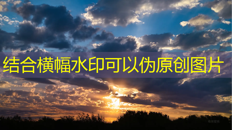 邗江塑胶跑道价格查询网