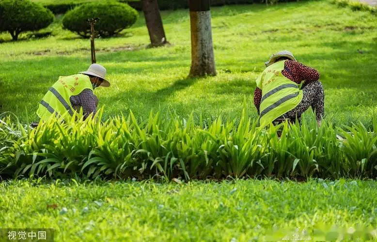 米乐m6官网登录入口：网球拍老化手柄怎么办