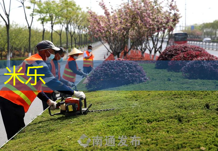 网球拍家庭收纳架怎么用