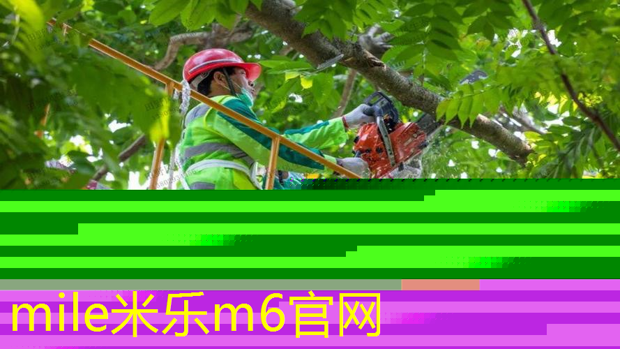 mile·米乐m6：网球拍斜挎背法图解
