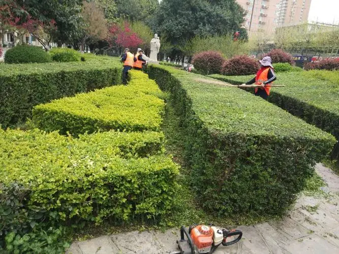 网球拍平击球用什么线