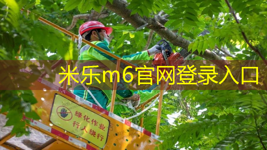 米乐：网球拍用软线还是硬线好呢