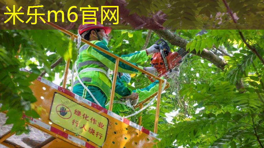 网球拍新手拉什么线好用