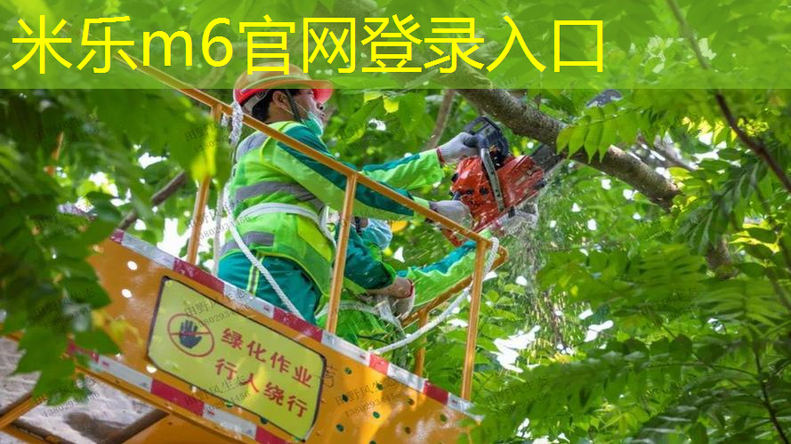 米乐m6官网登录入口：选多重的网球拍子好呢