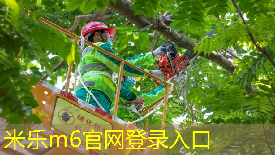 米乐m6官网：网球拍单人训练器东北