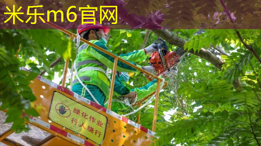 mile米乐m6官网：威尔逊97网球拍鉴定