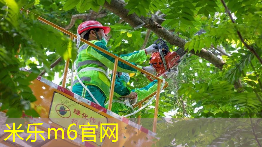 mile·米乐m6：乒乓球台多贵