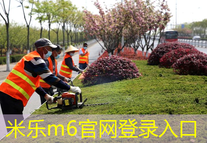 网球拍家庭收纳架怎么用