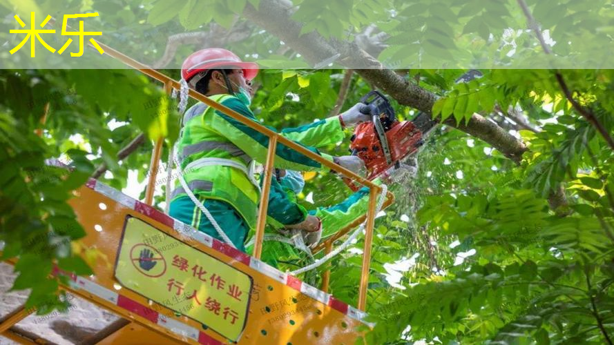 网球拍斜挎背法图解