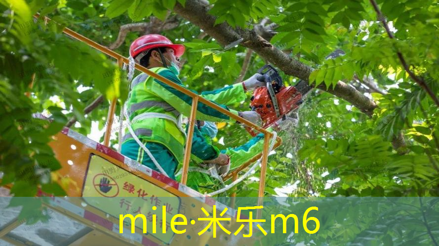 网球拍用软线还是硬线好呢