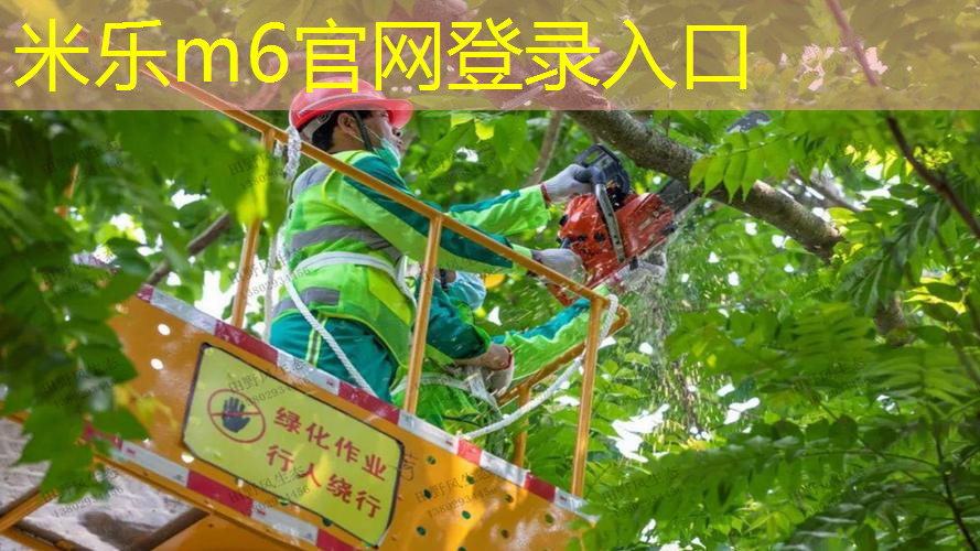 网球拍新手拉什么线好用