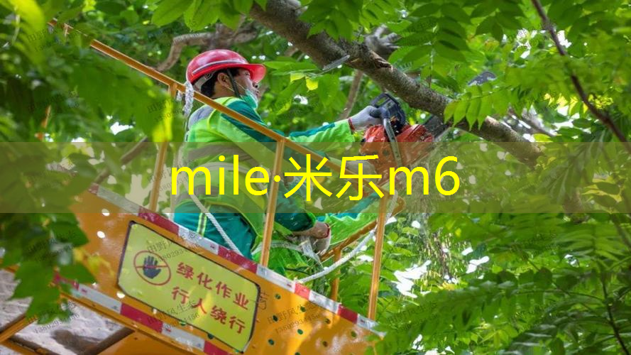 选多重的网球拍子好呢