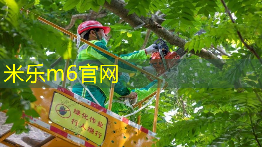 网球拍单人训练器东北