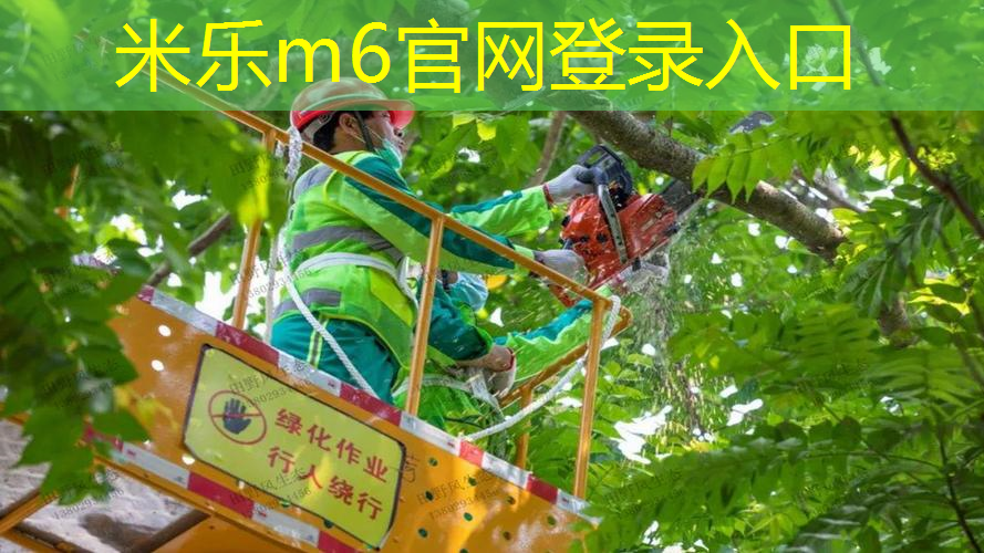 三水区网球拍穿线