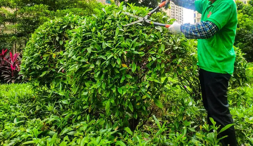 网球拍喷漆台怎么用的啊